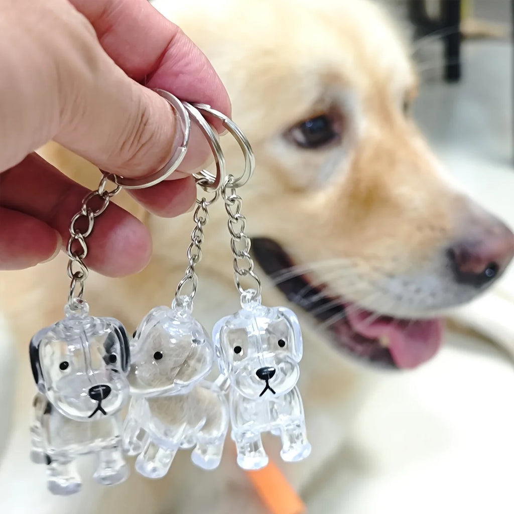Transparent Cat/Dog Hair Collection Capsule Keychain Kawaii Memorial Pet Cat Dog Hair Capsule for Keychain DIY Pendant Accessory